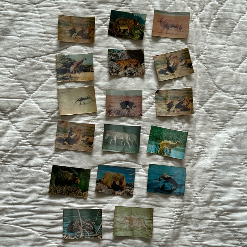 70’s Cracker Jacks 3D Animal Cards